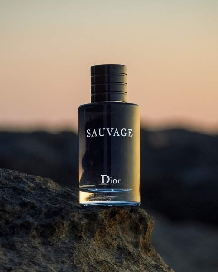 Dior Sauvage 3.4 Edt M